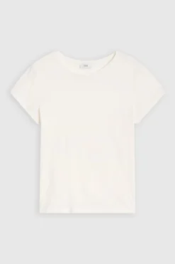 Basic T-Shirt En Pur Coton