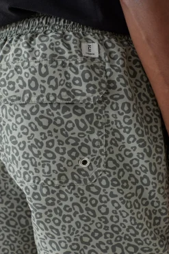 Printed Swim Shorts