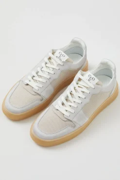 Sneakers Basses